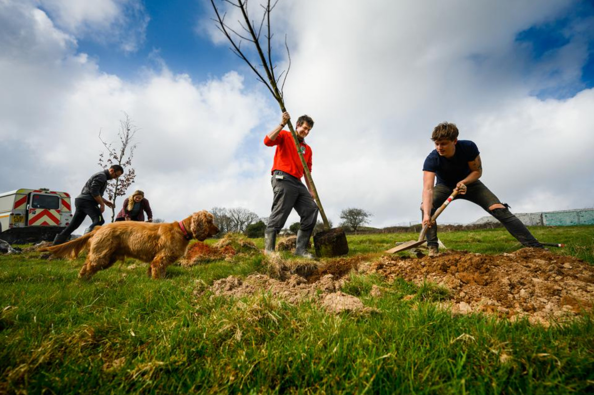 Why We’re Backing Moor Trees