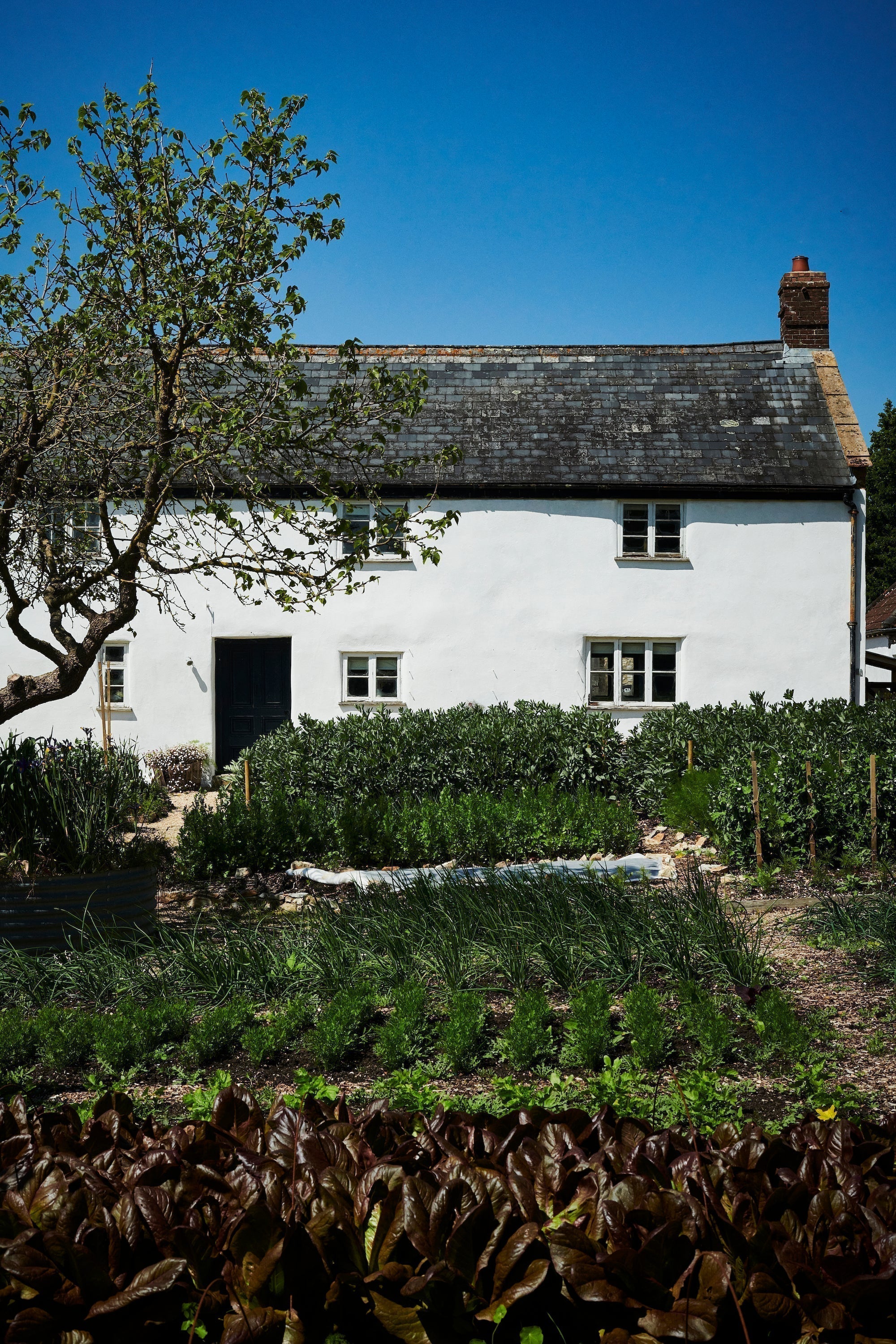 Our visit to River Cottage