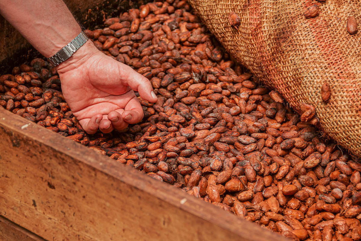Our recent adventure to the heart of Colombia