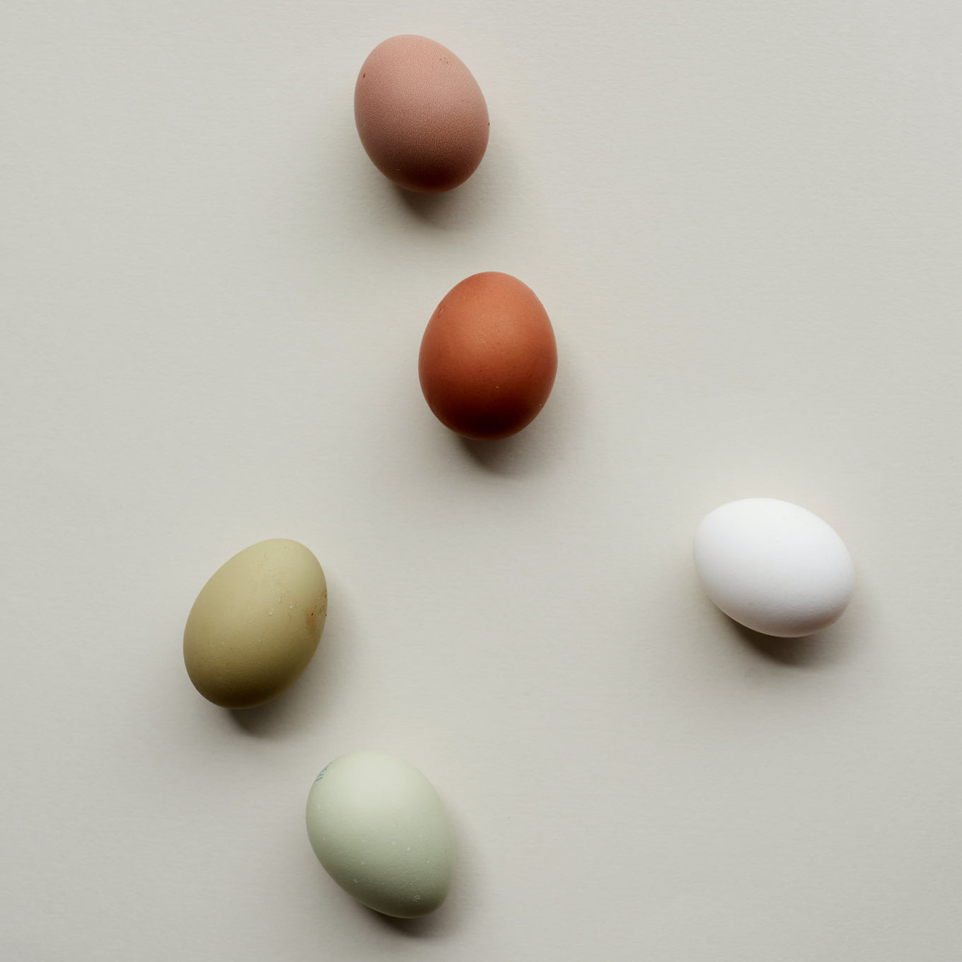 Eggs.